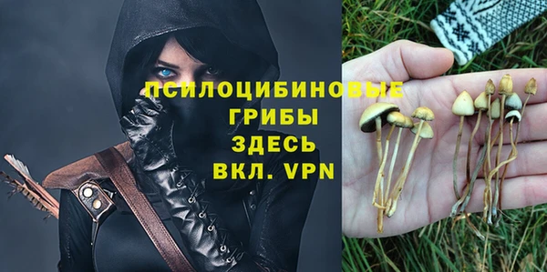 молекула духа Алексин